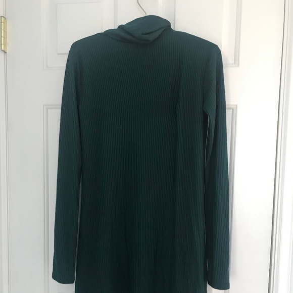 Green Ribbed Turtleneck Dress - Picture 4 of 4